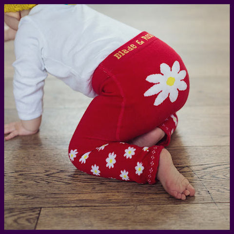 Original Blade & Rose Red Daisy Leggings Crawling My Baby Edit